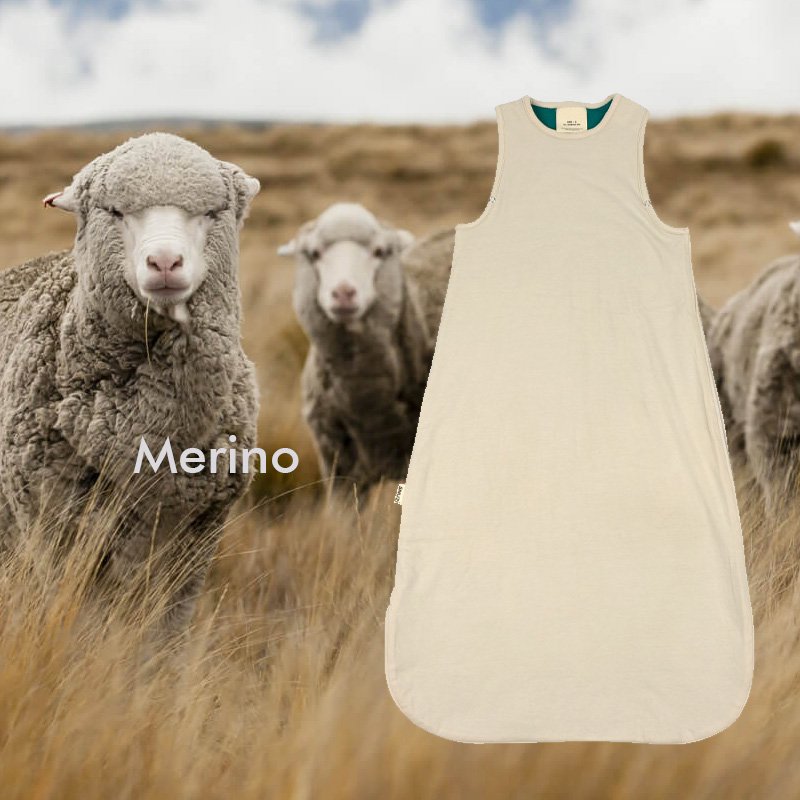 Merino